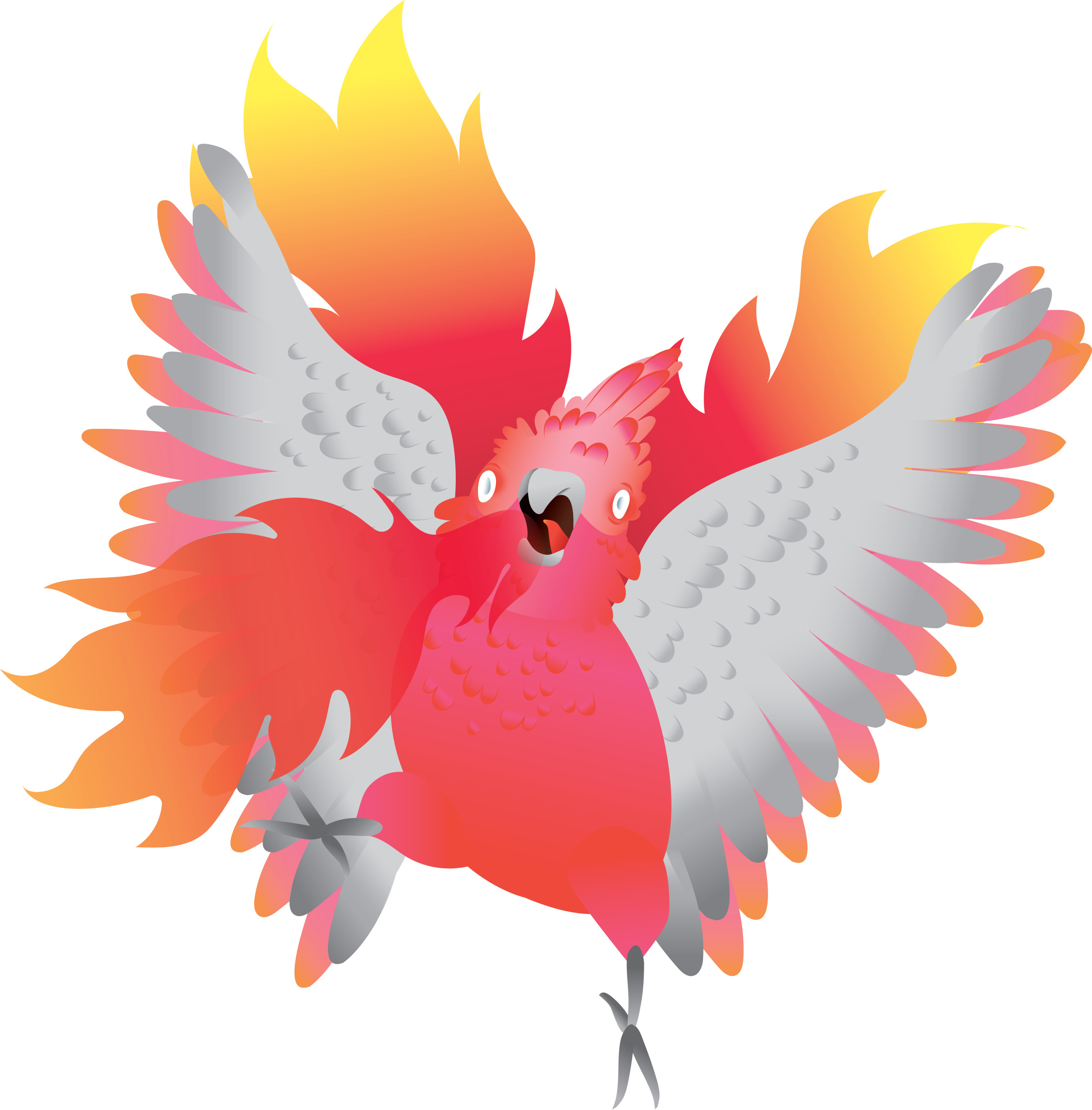 Flaming Galah